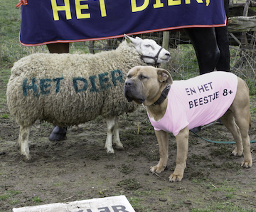 Publiciteitsbeeld_Het_Dier__Het_Dier_en_Het_Beestje_c_Henk_Claassen